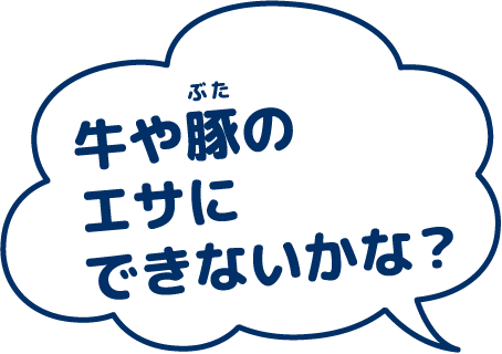 牛や豚のエサにできないかな？